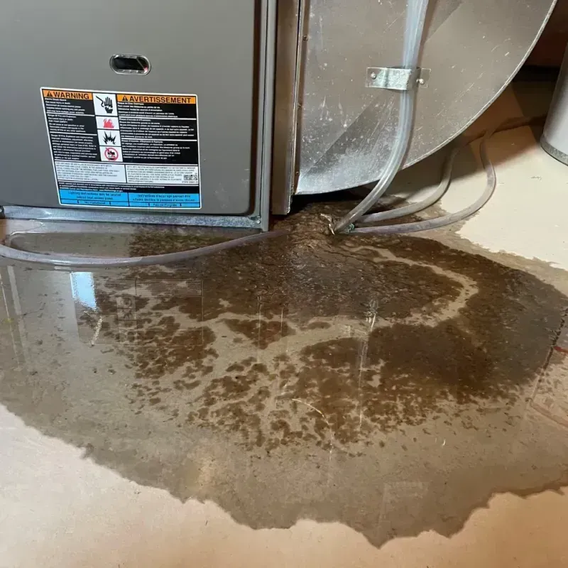 Appliance Leak Cleanup in Creedmoor, NC